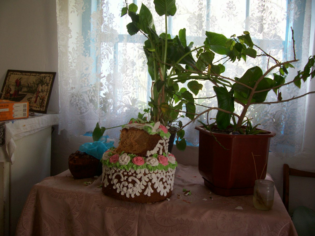100_2767.jpg